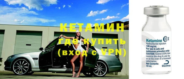 стаф Вязьма