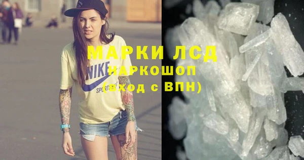 стаф Вязьма