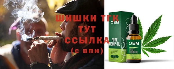 стаф Вязьма