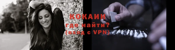 стаф Вязьма