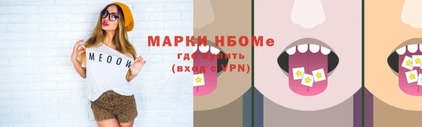 стаф Вязьма