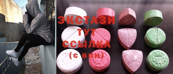 стаф Вязьма