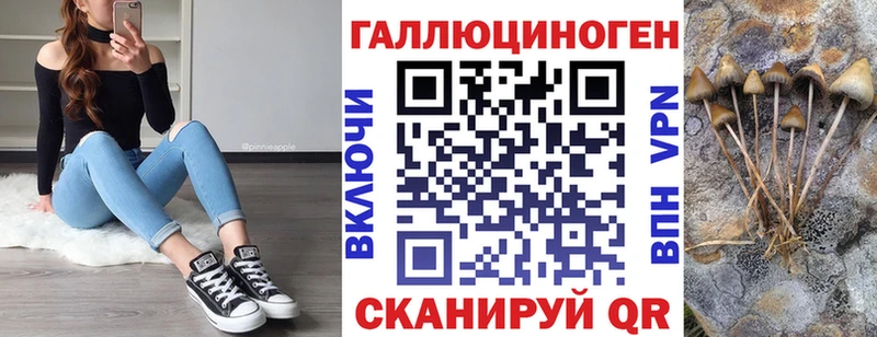 Галлюциногенные грибы Cubensis  Ессентуки 